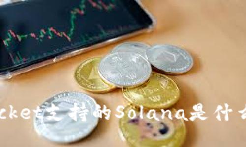 TokenPocket支持的Solana是什么区块链？