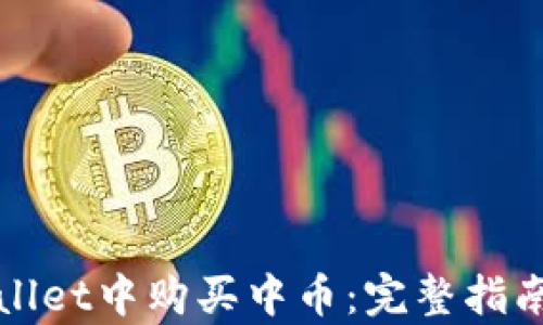 
如何在tpWallet中购买中币：完整指南与实用技巧