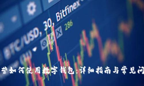 京东自营如何使用数字钱包：详细指南与常见问题解答