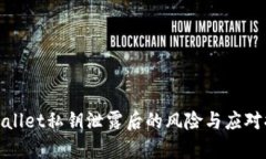 tpWallet私钥泄露后的风险与应对措施