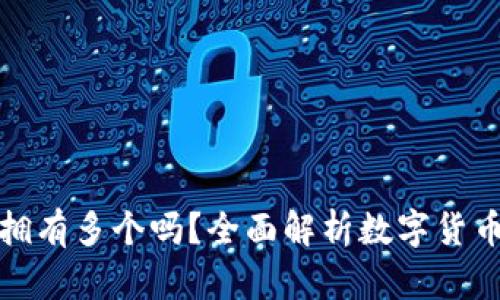 数字货币钱包可以拥有多个吗？全面解析数字货币钱包的使用和管理