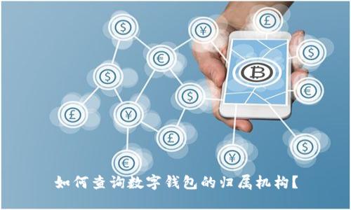 如何查询数字钱包的归属机构？