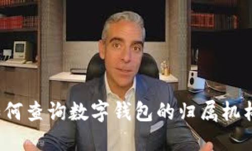 如何查询数字钱包的归属机构？