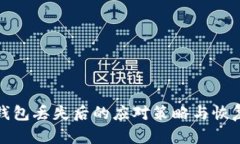 tp冷钱包丢失后的应对策略与恢复指南