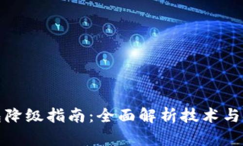 数字钱包降级指南：全面解析技术与安全考量