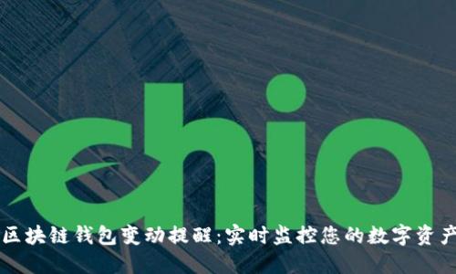 区块链钱包变动提醒：实时监控您的数字资产