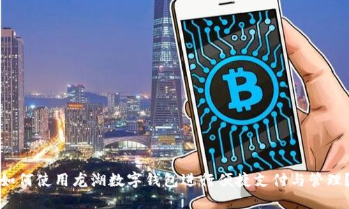 如何使用龙湖数字钱包进行便捷支付与管理？