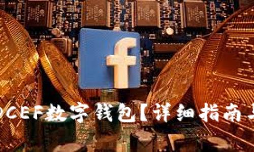 如何彻底删除DCEF数字钱包？详细指南与常见问题解答