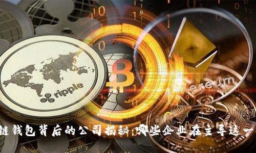 区块链钱包背后的公司揭秘：哪些企业在主导这一领域？