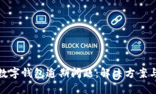 如何处理数字钱包逾期问题：解决方案与预防措施