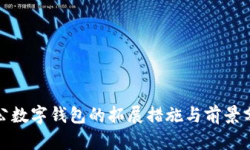 对公数字钱包的拓展措施与前景分析