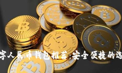 数字人民币钱包推荐：安全便捷的选择