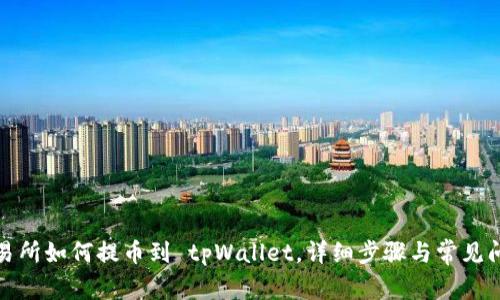 火币交易所如何提币到 tpWallet，详细步骤与常见问题解答
