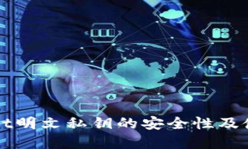 tpWallet明文私钥的安全性及使用指南