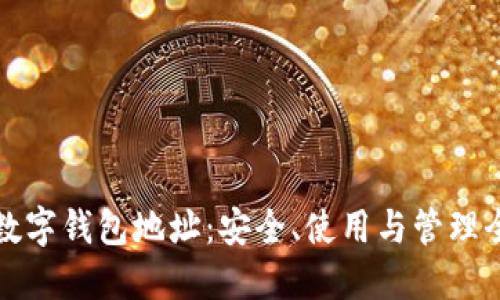 理解数字钱包地址：安全、使用与管理全攻略