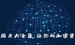 数字硬币钱包图片大全集：让你的加密资产安全