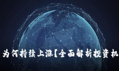tpWallet的币为何持续上涨？全面解析投资机会与市场动态