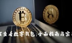 div  如何查看数字钱包：全面指南与实用技巧
