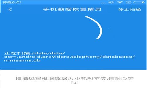 区块链主网络与钱包：全面探讨其运作原理与应用前景