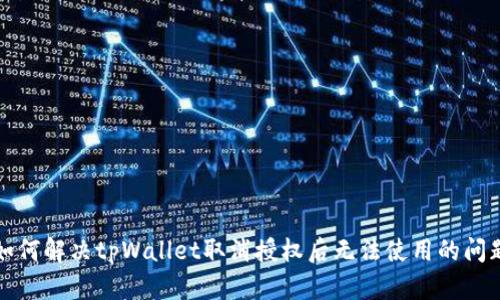 如何解决tpWallet取消授权后无法使用的问题
