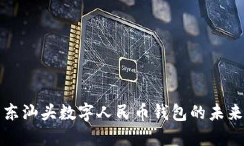 探索广东汕头数字人民币钱包的未来与应用