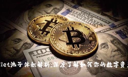 tpWallet池子体积解析：深度了解如何你的数字资产管理
