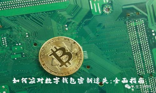 如何应对数字钱包密钥遗失：全面指南