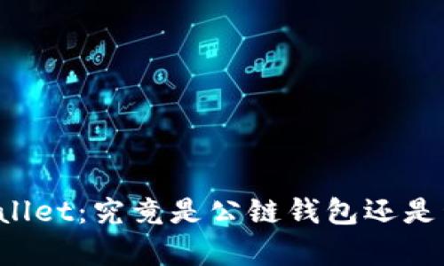 深入解析tpWallet：究竟是公链钱包还是私链解决方案？