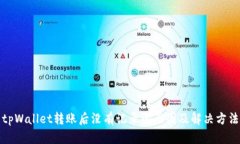 tpWallet转账后没有记录的原因及解决方法