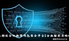 如何选择适合的数字钱包聚合平台？全面解析与