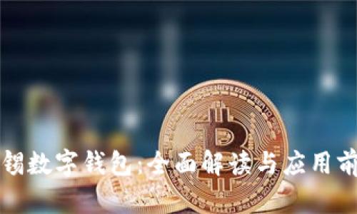 无锡数字钱包：全面解读与应用前景