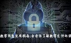国家数字钱包使用指南：全方位了解数字支付的