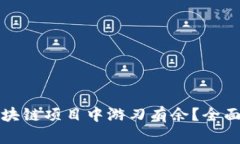 如何在钱包类区块链项目中游刃有余？全面解析