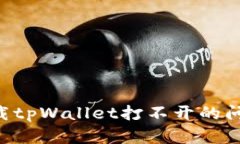 解决百度下载tpWallet打不开的问题：全面指南