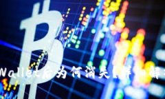 USDT转入TPWallet后为何消失？详细解析及解决方案