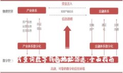 如何查询数字钱包地址信息：全面指南