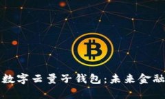 全面解析中国数字云量子钱包：未来金融的革命
