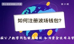 中国公户数字钱包额度解析：如何资金使用与管