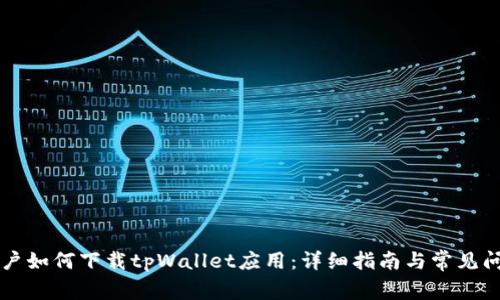国内用户如何下载tpWallet应用：详细指南与常见问题解答