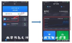 数字钱包支付不便的原因及解决方案