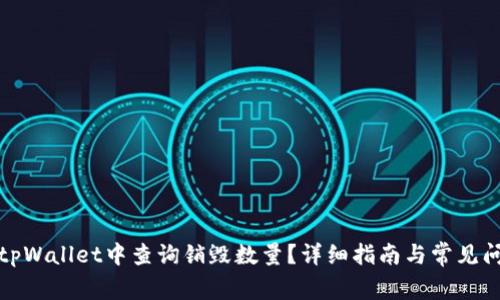 如何在tpWallet中查询销毁数量？详细指南与常见问题解答