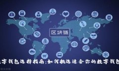 数字钱包选择指南：如何挑选适合你的数字钱包
