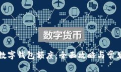 如何查看数字钱包额度：全面攻略与常见问题解