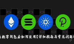 开通数字钱包后如何使用？详细指南与常见问题