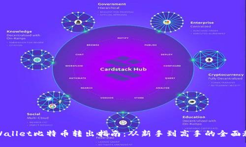 tpWallet比特币转出指南：从新手到高手的全面教程