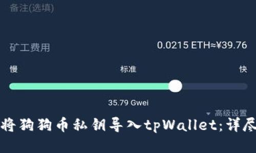 如何将狗狗币私钥导入tpWallet：详尽指南