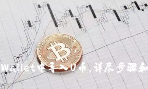 如何在tpWallet中导入U币，详尽步骤和注意事项