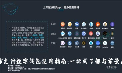 全球支付数字钱包使用指南：一站式了解与前景展望