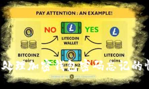 如何处理加密钱包密码忘记的情况？