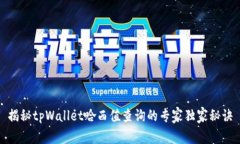 揭秘tpWallet哈西值查询的专家独家秘诀
